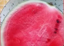 三只羊录音门大爆炸：卢文庆潜规则风波越烧越旺🔥，沫沫成替罪羊？